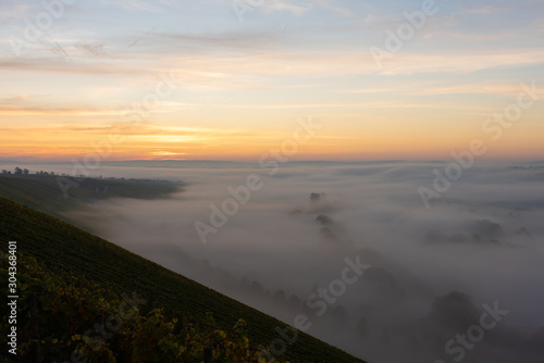Sonnenaufgang in den Weinbergen über dem herbstlichen Main im Nebel © SKatzenberger