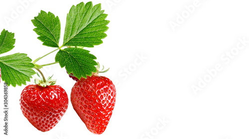 red strawberry garden plant witch berries 