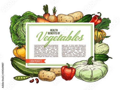 Vegetables, farm veggies and organic vegetarian food health benefits. Vector carrot and turnip, celery and onion leek, tomato or broccoli cabbage and garlic, beans and peas, kohlrabi and squash