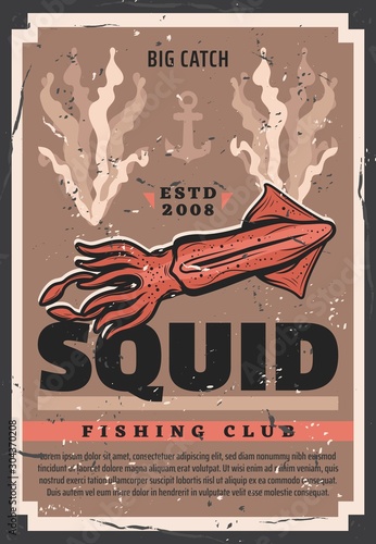 Vector retro poster with cuttlefish squid, fisher ship anchor and ocean seaweeds, professional sea fisherman club. Squid fishing, seafood and fish catch fishery industry