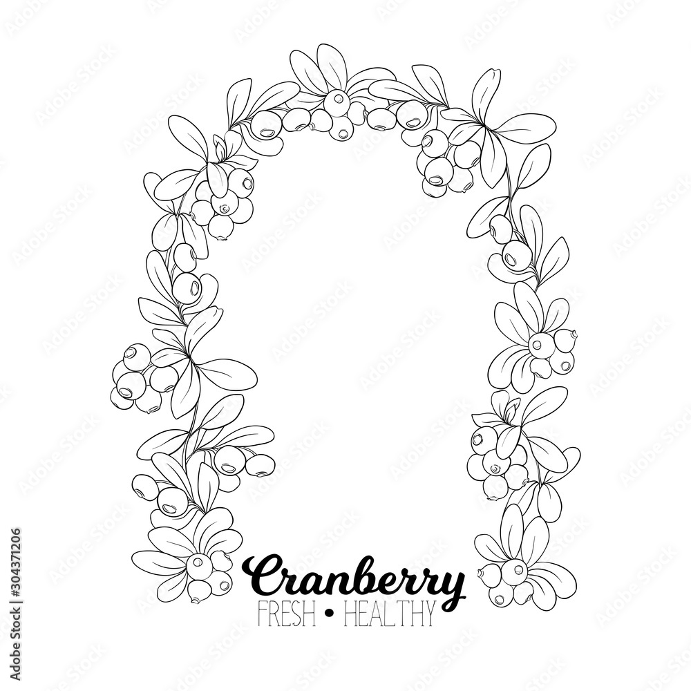 Cranberry. Element for design. Good for product label. Outline hand drawing vector illustration.. Cranberry. Element for design. Good for product label. Outline hand drawing vector illustration..