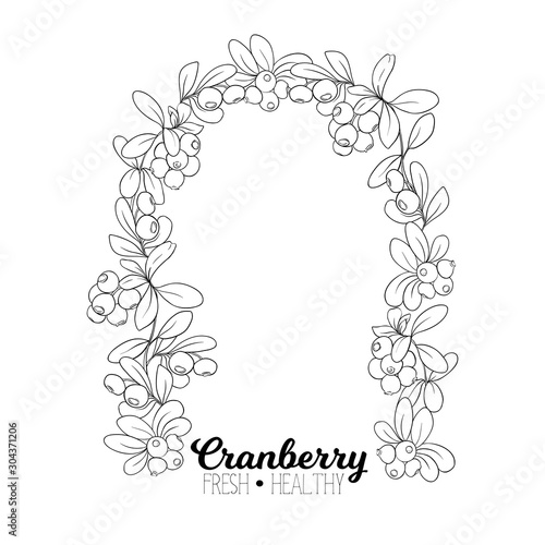 Cranberry. Element for design. Good for product label. Outline hand drawing vector illustration..