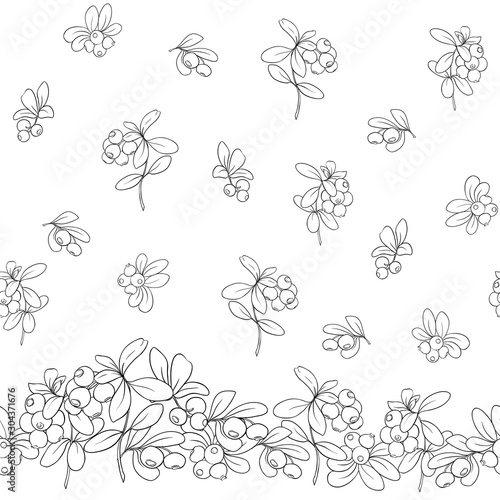 Cranberry. Seamless pattern, background. Outline hand drawing vector illustration
