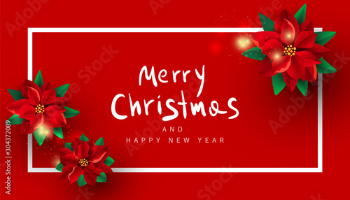 Creative modern background with red pomela flowers and a white frame on a red burgundy background with copy space.