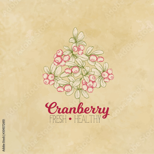 Cranberry. Element for design. Good for product label. Colored vector illustration. On kraft paper background.