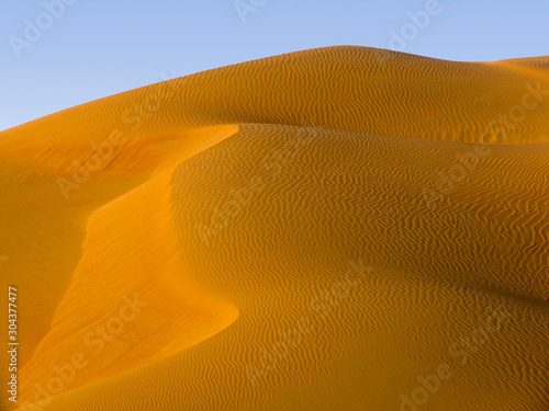 Desert Scene in Liwa Desert, Empty Quarter, Abu Dhabi