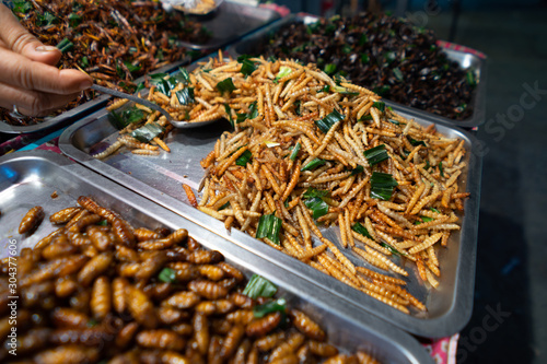 Fried insects street food in bangkok thailand