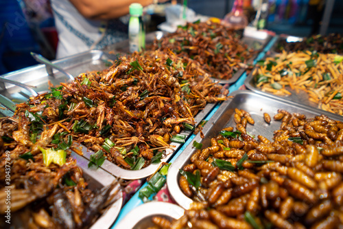 Fried insects street food in bangkok thailand © nuttapon