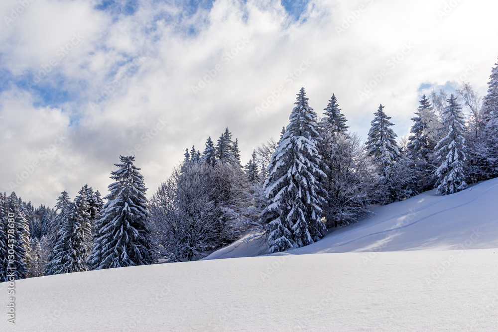 Montagne enneigées