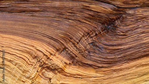 Interesting wood texture in waveform. Close-up of wet cracked wood.