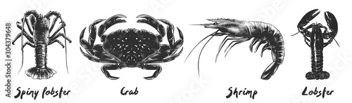 Vector engraved vintage style illustrations of spiny lobster, crab, shrimp, lobster for menu, logo, decoration and emblem. Hand drawn sketches of seafood in monochrome isolated on white background.