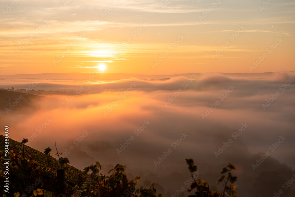Sonnenaufgang über den Weinbergen am nebelverhangenen Main
