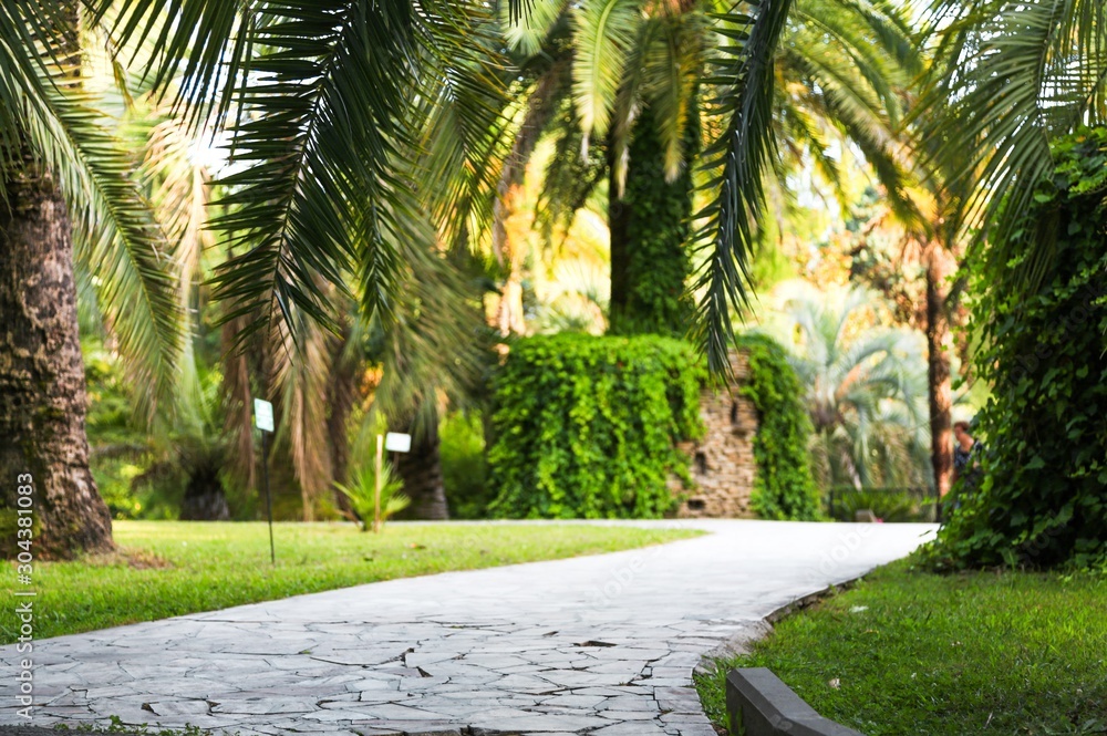 Obraz premium Street.