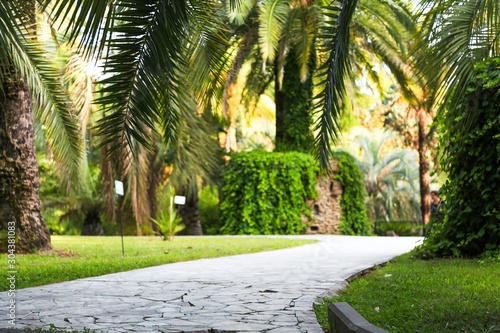 Street.