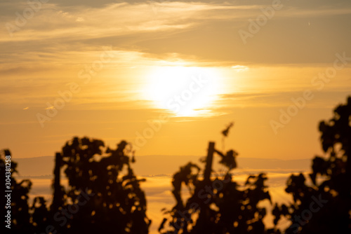 Sonnenaufgang   ber den Weinbergen am nebelverhangenen Main