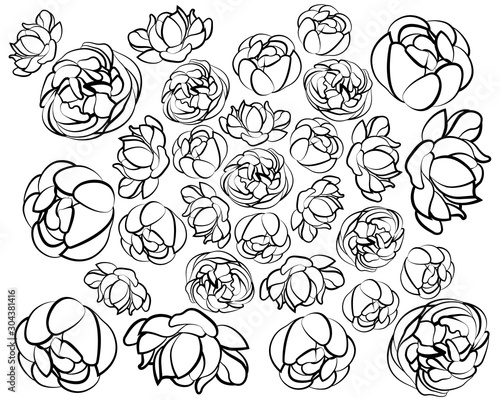 Coloring of pattern with flowers