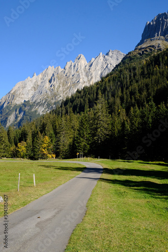 Swiss Alps and forest, Rosenlaui, near Meiringen, Switzerland