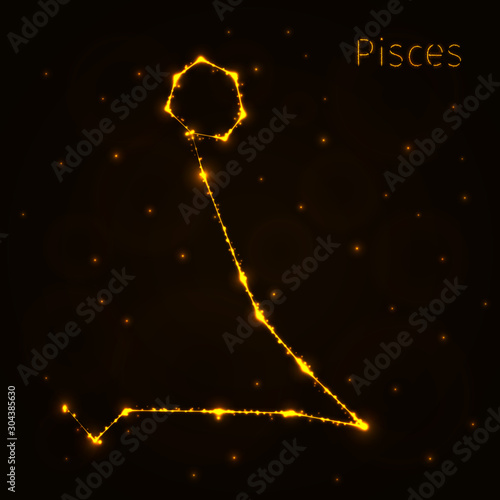 Pisces Illustration Icon, Lights Silhouette on Dark Background. Glowing Lines and Points