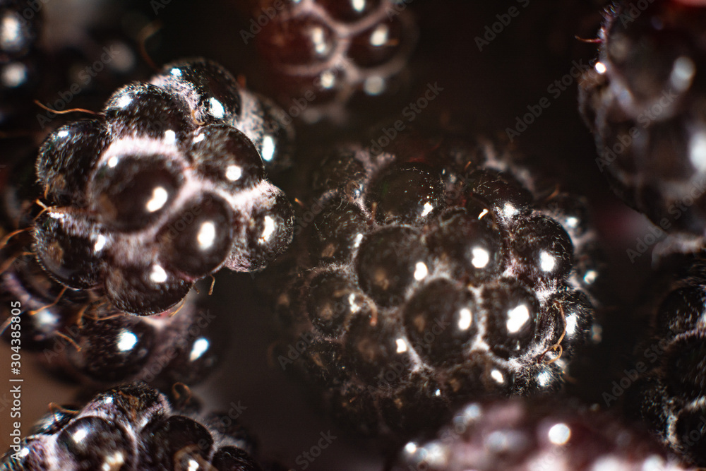 Macro of black garden raspberries. Macro of black garden raspberries.
