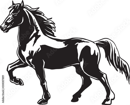 Horse, black white picture isolated on white background,vector illustration