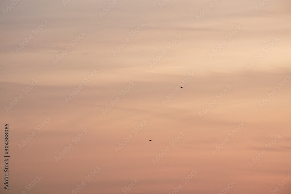 Obraz premium dramatic sky sunset with birds