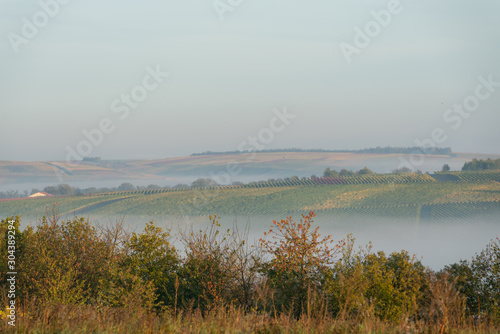 Herbstliche Mainschleife im Nebel © SKatzenberger