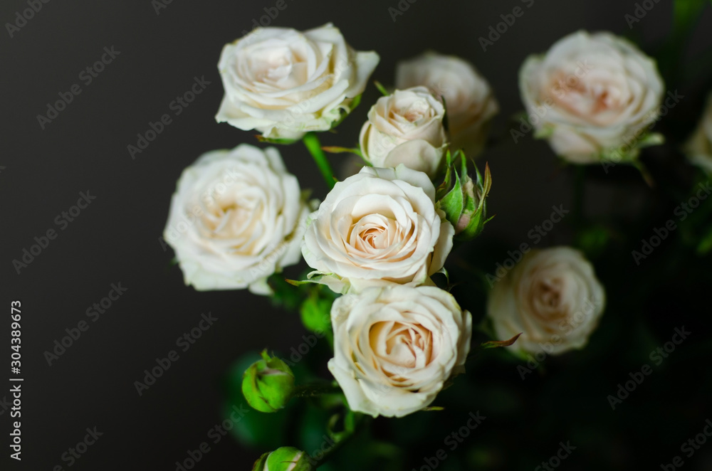 Nice bouquet on a dark background. Elegant composition of roses. Close-up view of a vibrant flowers. Picture for a desktop or smartphone background. Nice bouquet on a dark background. Elegant composition of roses. Close-up view of a vibrant flowers. Picture for a desktop or smartphone background.