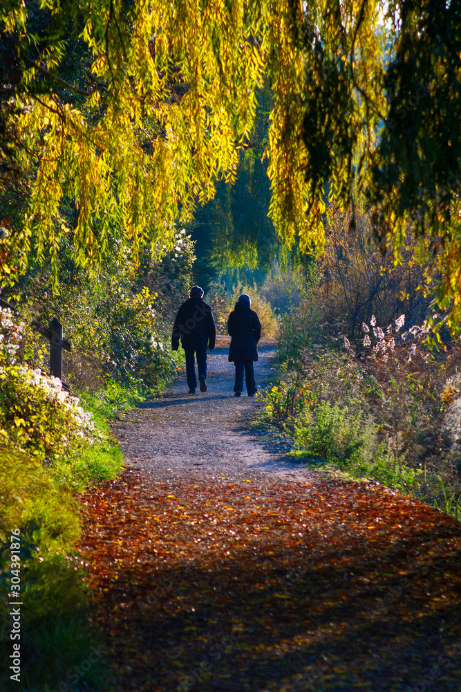 Silhouette of a man and a woman walking on a dirt road. Lush vegetation and weeping willow in a rural landscape.