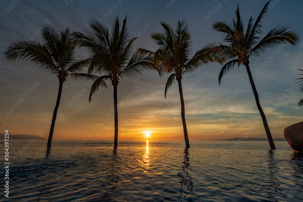 Sunset Through the Palms