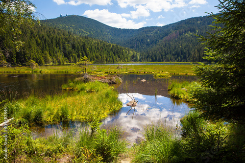 Bild auf Leinwand Kleiner_Arbersee_5526