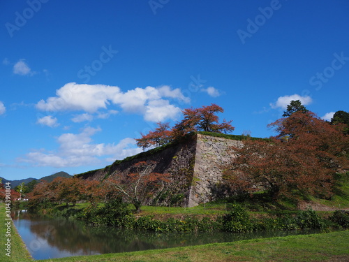 Bild auf Leinwand 秋の篠山城跡