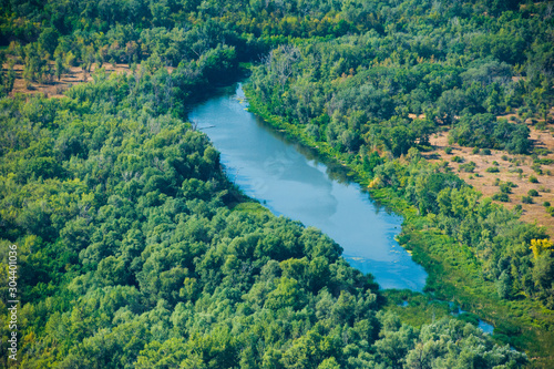 Aerial view of forest during