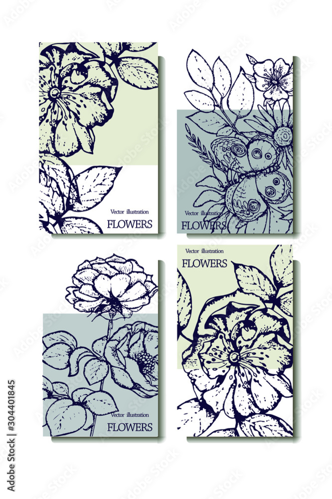 Herbal illustration on label packaging design. Hand drawn vector botanic set with branch, flowers. Herbal illustration on label packaging design. Hand drawn vector botanic set with branch, flowers.