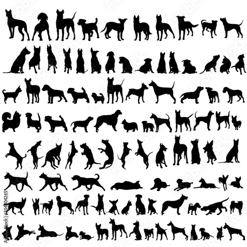 vector, on a white background, black silhouette of a standing dog, set