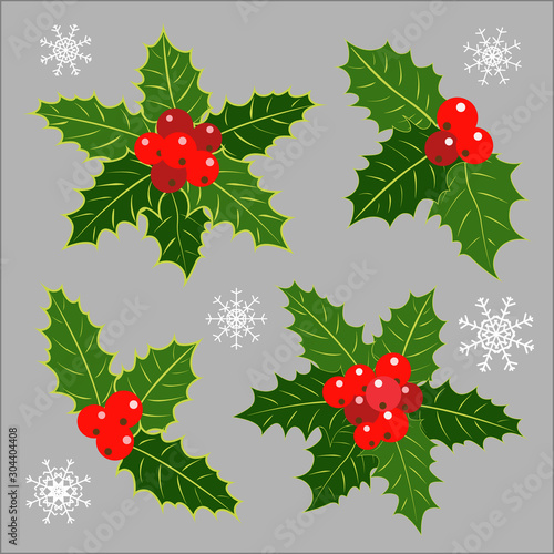 Christmas holiday decoration Holly leaves and berries icons vector design element collection.