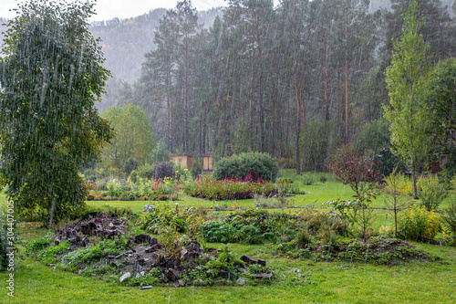 Принти на полотні Hut in the garden on the edge of  pinery in the rain.