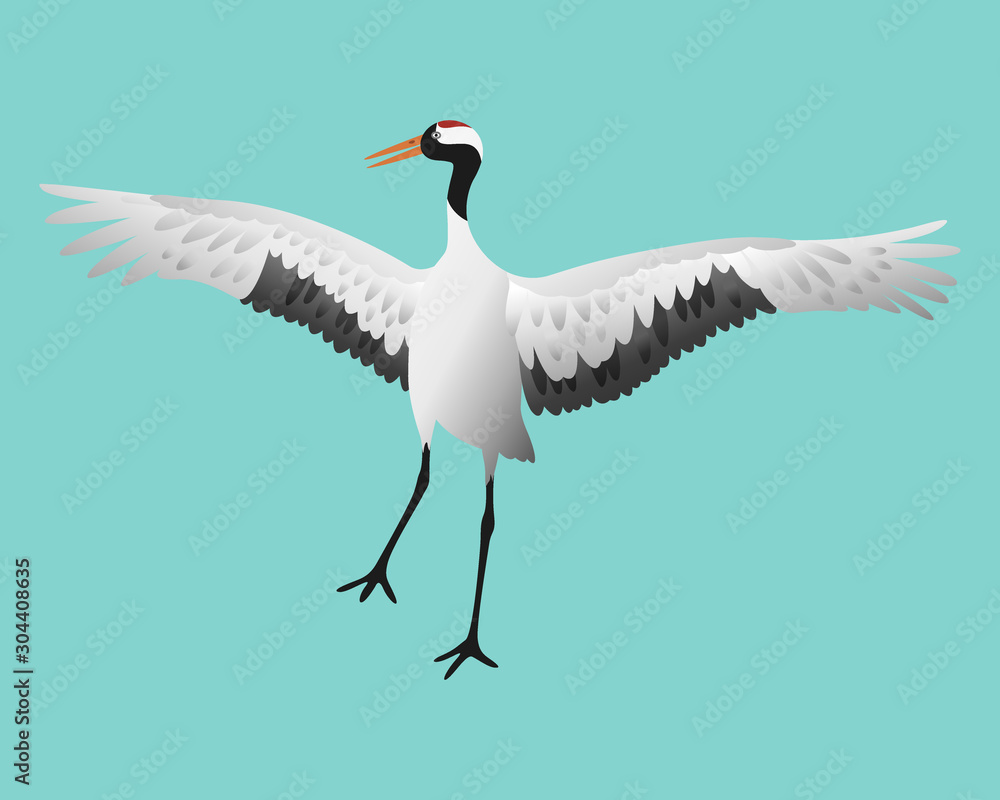 Japanese dancing red-crowned crane in different poses isolated Japanese dancing red-crowned crane in different poses isolated