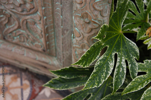 green leaf with decorative door
