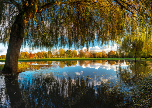 Still reflections of Trees in Flood water at Stratford Upon Avon
