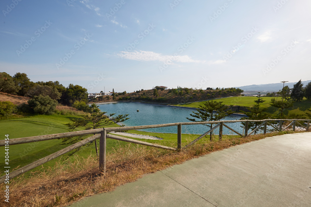 Fototapeta premium green trees and lake