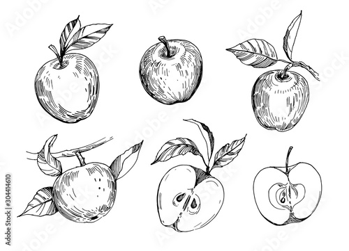 Set of sketch apples. Hand drawn illustration converted to vector. Isolated on white background