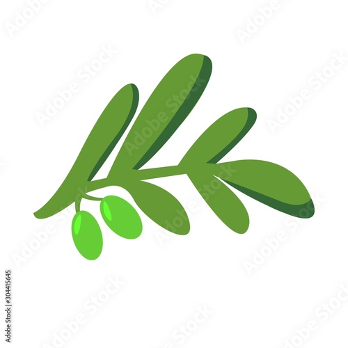  vector illustration a branch of olives on a white background