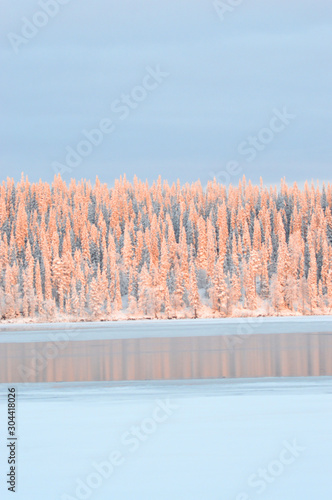 Finnish winter, Kuusamo. Colorful sunset in Lake Porontima. Snowy trees tinted by the sun and deep blue sky. Reflection. photo