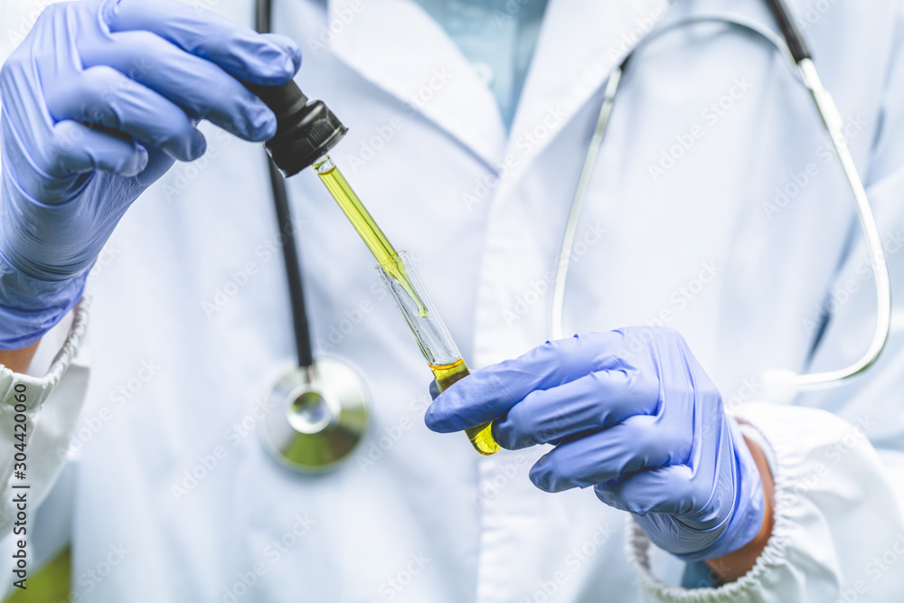The researchers' hands are pouring hemp oil into a glass tube. That will lead to experimenting with the concepts of alternative medicine, medicine, natural herbs that extract oil for treatment. The researchers' hands are pouring hemp oil into a glass tube. That will lead to experimenting with the concepts of alternative medicine, medicine, natural herbs that extract oil for treatment.