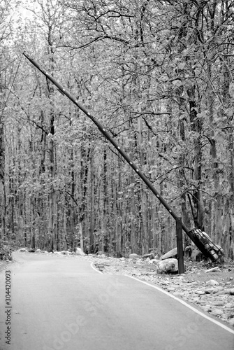 Wallpaper Mural NB__7735 Open barrier on forest road Torontodigital.ca