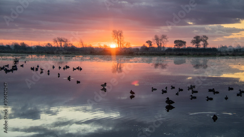Lever de Soleil Canard