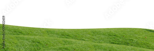 Green grass field isolated on white background with clipping path.