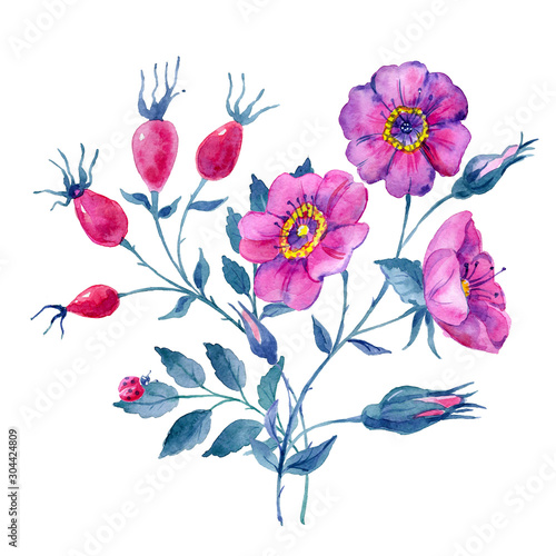 Wallpaper Mural Drawing roses and rose hips watercolor, handmade. Can be used as background for web pages, wedding invitations, greeting cards, textile design, Torontodigital.ca