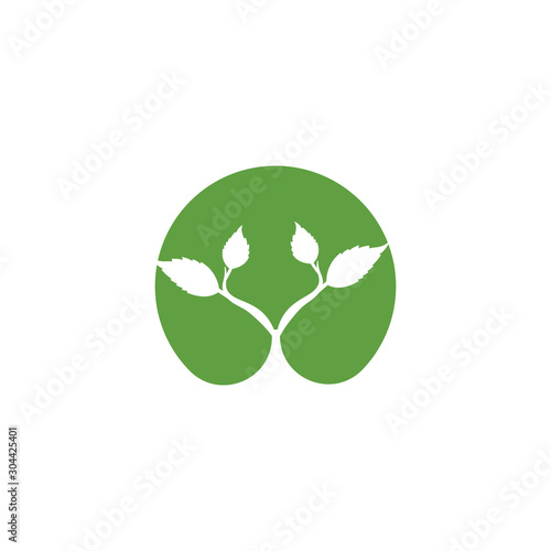 Leaf Logo Template vector symbol