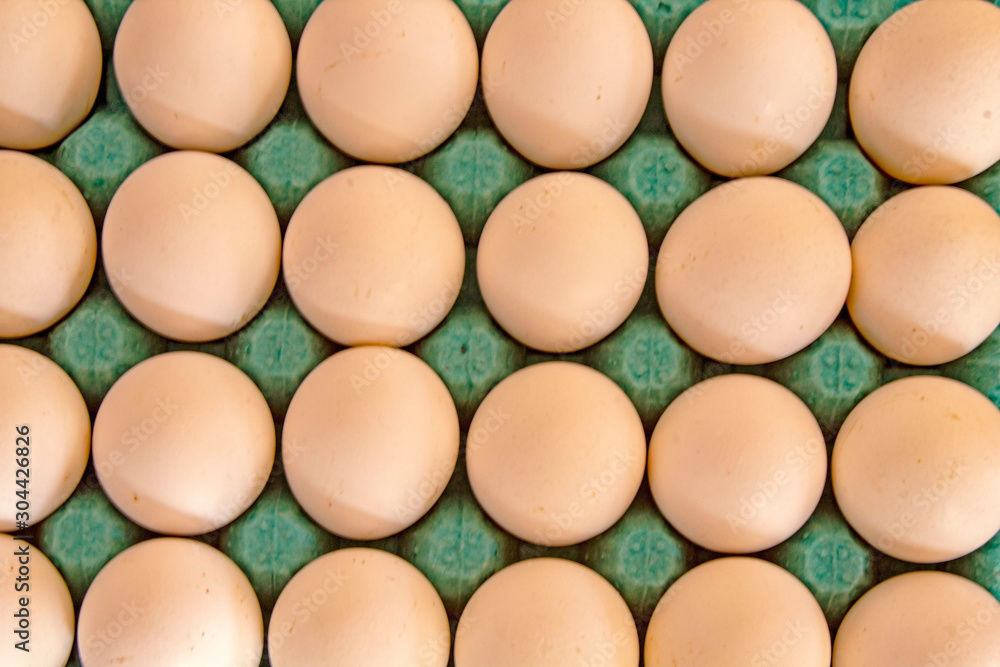 Group of fresh Chicken eggs in pater tray Group of fresh Chicken eggs in pater tray